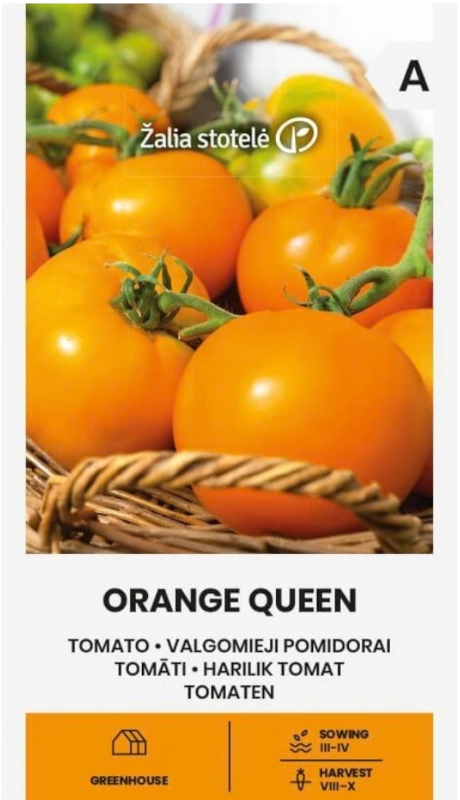 Pomidor Orange Queen odmiana o intensywnie pomarańczowych owocach nasiona 0,1 g Žalia stotelė sklep rajogrodnika